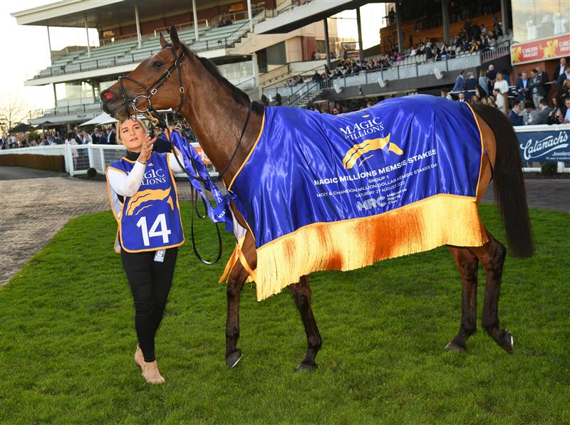 MELBOURNE, AUSTRALIA - AUGUST 27: Snapdancer after winning Race 8, the Magic Millions Memsie Stakes,  during Melbourne Racing at Caulfield Racecourse on August 27, 2022 in Melbourne, Australia. (Photo by Vince Caligiuri/Getty Images)