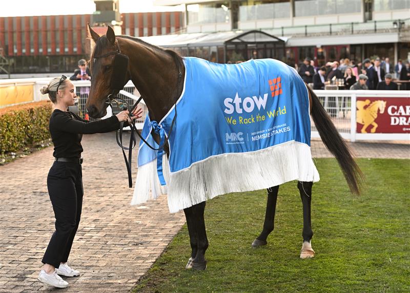 MELBOURNE, AUSTRALIA - AUGUST 30: Treasurethe Moment after winning Race 9, the Stow Storage Memsie Stakes during Melbourne Racing at Caulfield Racecourse on August 30, 2025 in Melbourne, Australia. (Photo by Vince Caligiuri/Getty Images)