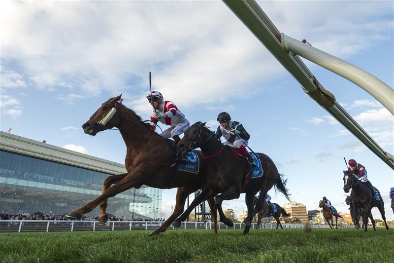 MELBOURNE, AUSTRALIA - AUGUST 31: Ben Allen riding Pinstriped defeats Mr Brightside and Gentleman Roy in Race 9, the Stow Storage Memsie Stakes - Betting Odds during Melbourne Racing at Caulfield Racecourse on August 31, 2024 in Melbourne, Australia. (Photo by Vince Caligiuri/Getty Images)