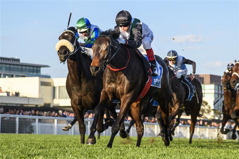 MELBOURNE, AUSTRALIA - SEPTEMBER 02: Craig Williams riding Mr Brightside defeats Luke Nolen riding I Wish I Win (3rd place) in Race 9, the Stow Storage Memsie Stakes, during Melbourne Racing at Caulfield Racecourse on September 02, 2023 in Melbourne, Australia. (Photo by Vince Caligiuri/Getty Images)