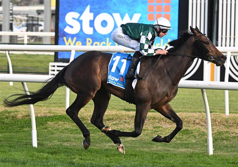 MELBOURNE, AUSTRALIA - AUGUST 30: Damian Lane riding Treasurethe Moment winning Race 9, the Stow Storage Memsie Stakes during Melbourne Racing at Caulfield Racecourse on August 30, 2025 in Melbourne, Australia. (Photo by Vince Caligiuri/Getty Images)