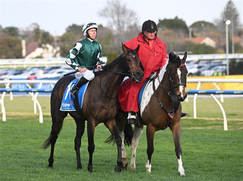 MELBOURNE, AUSTRALIA - AUGUST 30: Damian Lane riding Treasurethe Moment after winning Race 9, the Stow Storage Memsie Stakes during Melbourne Racing at Caulfield Racecourse on August 30, 2025 in Melbourne, Australia. (Photo by Vince Caligiuri/Getty Images)