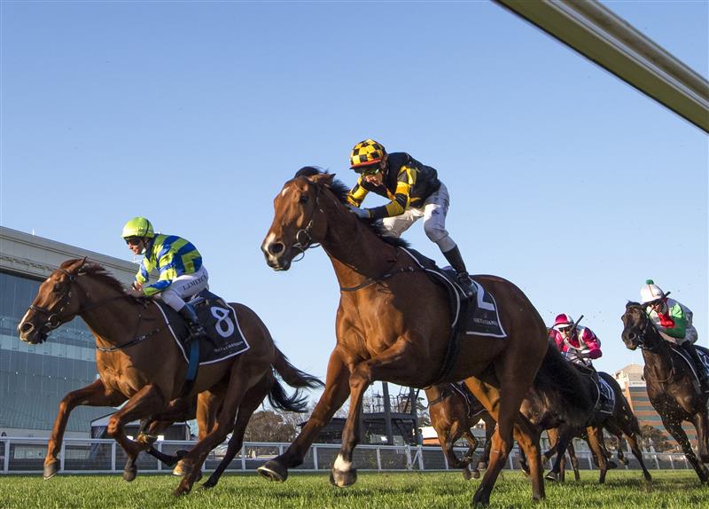 MELBOURNE, AUSTRALIA - AUGUST 28: Brett Prebble riding Behemoth defeats Linda Meech riding Beau Rossa (L) in Race 8, the Moet & Chandon Memsie Stakes, during Melbourne Racing at Caulfield Racecourse on August 28, 2021 in Melbourne, Australia. (Photo by Vince Caligiuri/Getty Images)