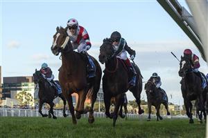 MELBOURNE, AUSTRALIA - AUGUST 31: Ben Allen riding Pinstriped defeats Mr Brightside and Gentleman Roy in Race 9, the Stow Storage Memsie Stakes - Betting Odds during Melbourne Racing at Caulfield Racecourse on August 31, 2024 in Melbourne, Australia. (Photo by Vince Caligiuri/Getty Images)