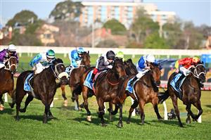 MELBOURNE, AUSTRALIA - SEPTEMBER 02: Craig Williams riding Mr Brightside defeats Blake Shinn riding Princess Grace (r) Luke Nolen riding I Wish I Win (L) and Alligator Blood in Race 9, the Stow Storage Memsie Stakes, during Melbourne Racing at Caulfield Racecourse on September 02, 2023 in Melbourne, Australia. (Photo by Vince Caligiuri/Getty Images)