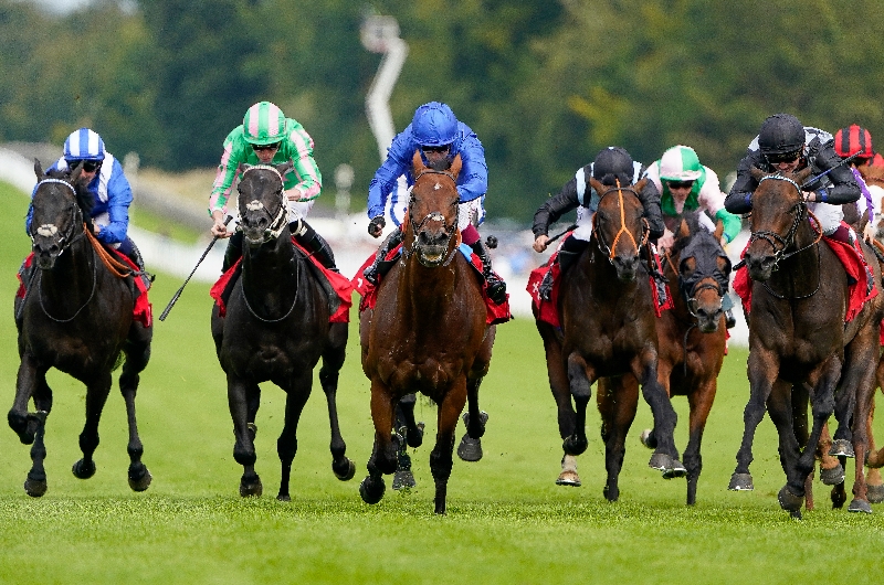 Racing Stream