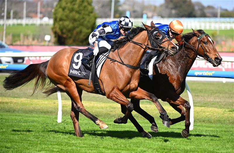 MELBOURNE, AUSTRALIA - AUGUST 29: Dakotah Keane riding Home Rule defeats Logan Bates riding Porter in race 4, the Hygain Handicap during Melbourne Racing at Caulfield Racecourse on August 29, 2026 in Melbourne, Australia. (Photo by Vince Caligiuri/Getty Images)