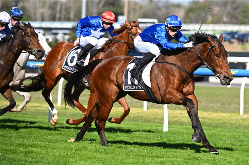 MELBOURNE, AUSTRALIA - AUGUST 29: Ethan Brown riding Custom winning race 5, the Hkjc World Pool Courtza Stakes during Melbourne Racing at Caulfield Racecourse on August 29, 2026 in Melbourne, Australia. (Photo by Vince Caligiuri/Getty Images)