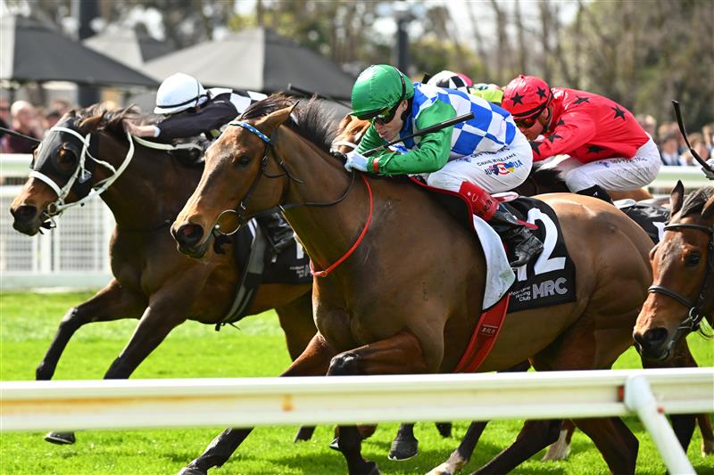 MELBOURNE, AUSTRALIA - AUGUST 29: Craig Williams riding Puglia winning race 1, the Aushorse Handicap during Melbourne Racing at Caulfield Racecourse on August 29, 2026 in Melbourne, Australia. (Photo by Vince Caligiuri/Getty Images)