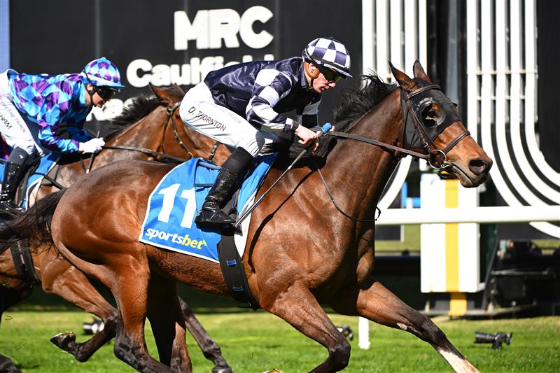 MELBOURNE, AUSTRALIA - AUGUST 29: Damien Thornton riding Politely Dunn winning race 2, the Sportsbet Fixed Odds Exotics Handicap during Melbourne Racing at Caulfield Racecourse on August 29, 2026 in Melbourne, Australia. (Photo by Vince Caligiuri/Getty Images)