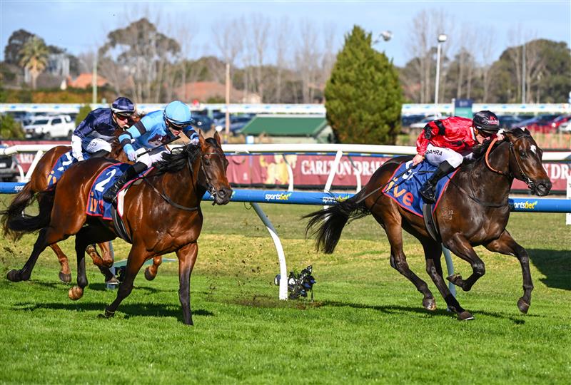 MELBOURNE, AUSTRALIA - AUGUST 29: Mark Zahra riding American Eagle defeats Thomas Stockdale riding Unit Five in race 7, the Ive > Mcneil Stakes during Melbourne Racing at Caulfield Racecourse on August 29, 2026 in Melbourne, Australia. (Photo by Vince Caligiuri/Getty Images)