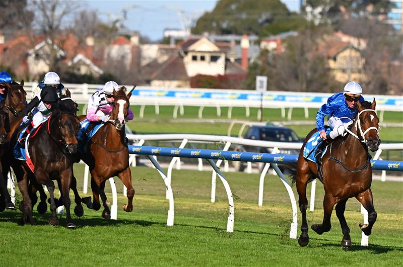 MELBOURNE, AUSTRALIA - AUGUST 29: Nash Rawiller riding Beiwacht defeats Mr Brightside and Cosmic Crusader in race 8, the Stow Storage Memsie Stakes during Melbourne Racing at Caulfield Racecourse on August 29, 2026 in Melbourne, Australia. (Photo by Vince Caligiuri/Getty Images)