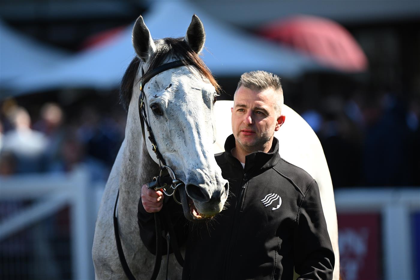 MELBOURNE, AUSTRALIA - AUGUST 29: Saint George after winning race 3, the Brad Masters Plumbing Handicap during Melbourne Racing at Caulfield Racecourse on August 29, 2026 in Melbourne, Australia. (Photo by Vince Caligiuri/Getty Images)
