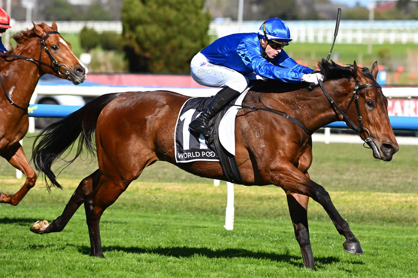 MELBOURNE, AUSTRALIA - AUGUST 29: Ethan Brown riding Custom winning race 5, the Hkjc World Pool Courtza Stakes during Melbourne Racing at Caulfield Racecourse on August 29, 2026 in Melbourne, Australia. (Photo by Vince Caligiuri/Getty Images)