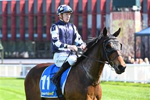 MELBOURNE, AUSTRALIA - AUGUST 29: Damien Thornton riding Politely Dunn after winning race 2, the Sportsbet Fixed Odds Exotics Handicap during Melbourne Racing at Caulfield Racecourse on August 29, 2026 in Melbourne, Australia. (Photo by Vince Caligiuri/Getty Images)