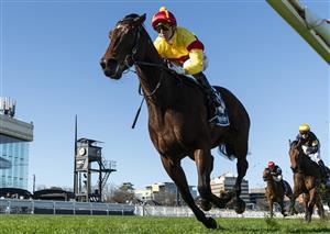 MELBOURNE, AUSTRALIA - AUGUST 29: Harry Coffey riding Oliveanotherday winning race 6, the The Quayclean Heath 1100   during Melbourne Racing at Caulfield Racecourse on August 29, 2026 in Melbourne, Australia. (Photo by Vince Caligiuri/Getty Images)