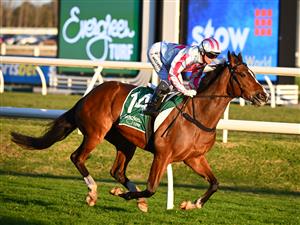 MELBOURNE, AUSTRALIA - AUGUST 29: Jamie Melham riding  Fancify winning race 10, the Evergreen Turf Handicap during Melbourne Racing at Caulfield Racecourse on August 29, 2026 in Melbourne, Australia. (Photo by Vince Caligiuri/Getty Images)