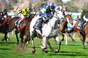 MELBOURNE, AUSTRALIA - AUGUST 29: Mark Zahra riding Saint George winning race 3, the Brad Masters Plumbing Handicap during Melbourne Racing at Caulfield Racecourse on August 29, 2026 in Melbourne, Australia. (Photo by Vince Caligiuri/Getty Images)