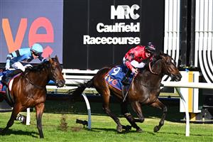 MELBOURNE, AUSTRALIA - AUGUST 29: Mark Zahra riding American Eagle defeats Thomas Stockdale riding Unit Five in race 7, the Ive > Mcneil Stakes during Melbourne Racing at Caulfield Racecourse on August 29, 2026 in Melbourne, Australia. (Photo by Vince Caligiuri/Getty Images)