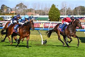 MELBOURNE, AUSTRALIA - AUGUST 29: Mark Zahra riding American Eagle defeats Thomas Stockdale riding Unit Five in race 7, the Ive > Mcneil Stakes during Melbourne Racing at Caulfield Racecourse on August 29, 2026 in Melbourne, Australia. (Photo by Vince Caligiuri/Getty Images)