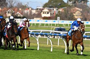 MELBOURNE, AUSTRALIA - AUGUST 29: Nash Rawiller riding Beiwacht defeats Mr Brightside and Cosmic Crusader in race 8, the Stow Storage Memsie Stakes during Melbourne Racing at Caulfield Racecourse on August 29, 2026 in Melbourne, Australia. (Photo by Vince Caligiuri/Getty Images)