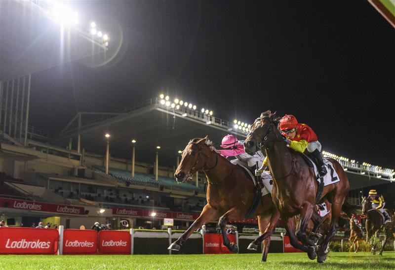 MELBOURNE, AUSTRALIA - SEPTEMBER 24: Daniel Moor riding Wild Ruler defeats Damian Lane riding Inferno in Race 7, the Charter Keck Cramer Moir Stakes, during Melbourne Racing at Moonee Valley Racecourse on September 24, 2021 in Melbourne, Australia. (Photo by Vince Caligiuri/Getty Images)