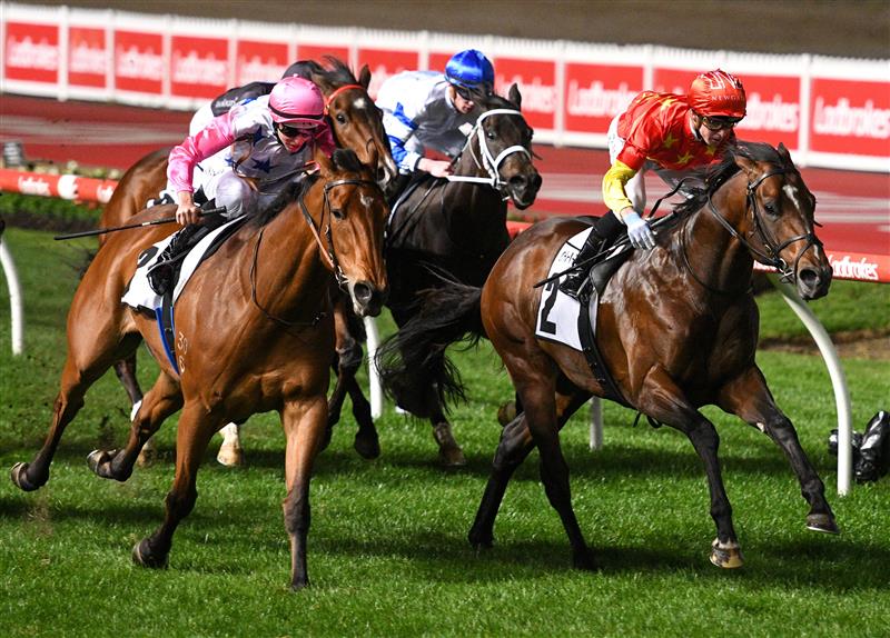 MELBOURNE, AUSTRALIA - SEPTEMBER 24: Daniel Moor riding Wild Ruler (r) winning Race 7, the Charter Keck Cramer Moir Stakes, during Melbourne Racing at Moonee Valley Racecourse on September 24, 2021 in Melbourne, Australia. (Photo by Vince Caligiuri/Getty Images)