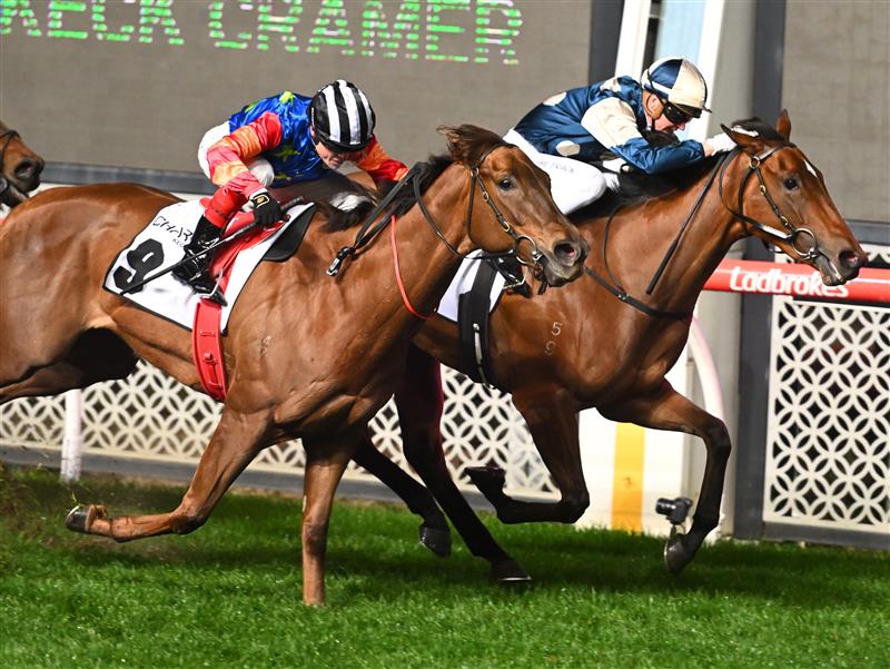 MELBOURNE, AUSTRALIA - SEPTEMBER 23: Jamie Kah riding Coolangatta defeats Craig Williams riding Bella Nipotina in Race 7, the Charter Keck Cramer Moir Stakes during Moir Stakes Night at Moonee Valley Racecourse on September 23, 2022 in Melbourne, Australia. (Photo by Vince Caligiuri/Getty Images)