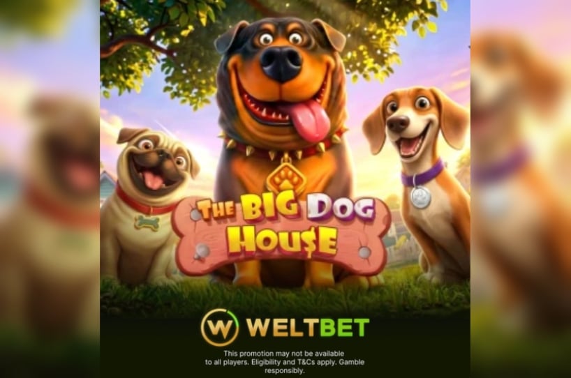 The Big Dog House The Big Dog House