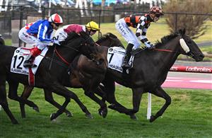 MELBOURNE, AUSTRALIA - SEPTEMBER 06: Ben Allen riding Baraqiel defeats Craig Williams riding Alabama Lass in Race 9, the Charter Keck Cramer Moir Stakes  during Melbourne Racing at Moonee Valley Racecourse on September 06, 2025 in Melbourne, Australia. (Photo by Vince Caligiuri/Getty Images)