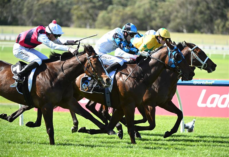 MELBOURNE, AUSTRALIA - SEPTEMBER 05: Jett Stanley riding Behaviour (ctr) winning race 3, the Edsa Group Handicap during Melbourne Racing at Sandown Racecourse on September 05, 2026 in Melbourne, Australia. (Photo by Vince Caligiuri/Getty Images)