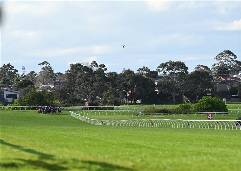MELBOURNE, AUSTRALIA - SEPTEMBER 05: The field turn into the home straight in race 8, the Charter Keck Cramer Moir Stakes during Melbourne Racing at Sandown Racecourse on September 05, 2026 in Melbourne, Australia. (Photo by Vince Caligiuri/Getty Images)