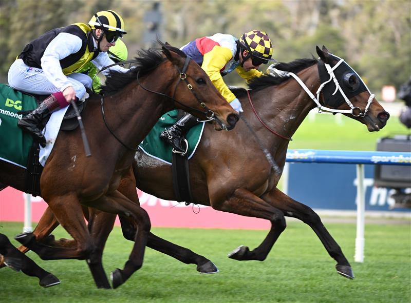 MELBOURNE, AUSTRALIA - SEPTEMBER 05: Ben Melham riding Ivan's Hero wins Race 4 during Melbourne Racing at Sandown Racecourse on September 05, 2026 in Melbourne, Australia. (Getty)

