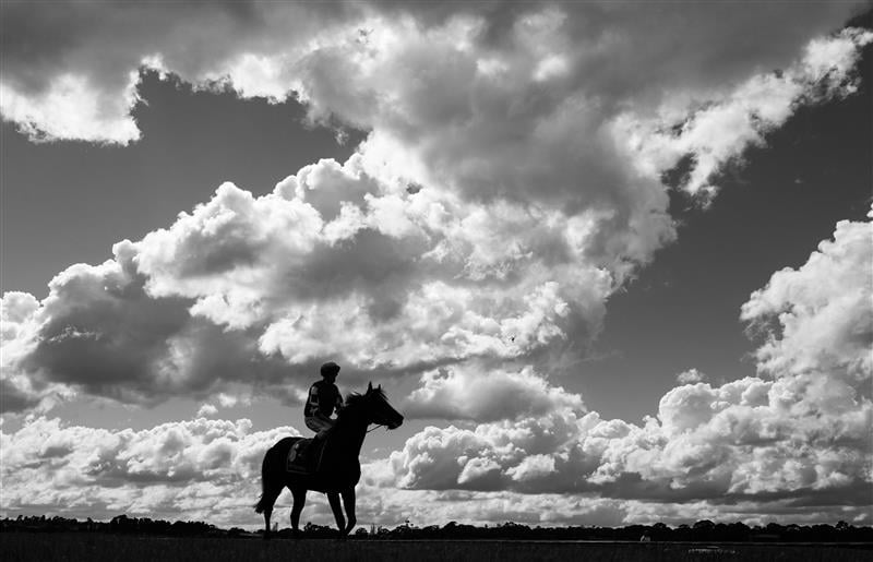 MELBOURNE, AUSTRALIA - SEPTEMBER 05: (EDITORS NOTE: Image has been converted to black and white using digital filters.) Billy Egan riding Glide to the start of race 1, the The Valley @ Sandown Handicap during Melbourne Racing at Sandown Racecourse on September 05, 2026 in Melbourne, Australia. (Photo by Vince Caligiuri/Getty Images)