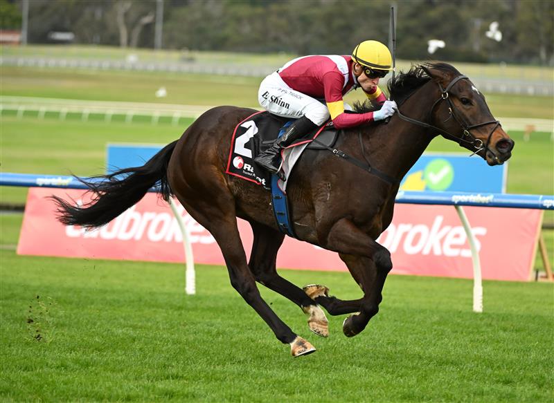 MELBOURNE, AUSTRALIA - SEPTEMBER 05: Blake Shinn riding Evaporate winning race 7, the Ranvet So You Think Stakes during Melbourne Racing at Sandown Racecourse on September 05, 2026 in Melbourne, Australia. (Photo by Vince Caligiuri/Getty Images)