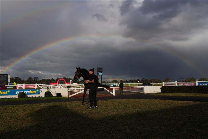 MELBOURNE, AUSTRALIA - SEPTEMBER 05: Evaporate poses as a rainbow appears after winning race 7, the Ranvet So You Think Stakes during Melbourne Racing at Sandown Racecourse on September 05, 2026 in Melbourne, Australia. (Photo by Vince Caligiuri/Getty Images)