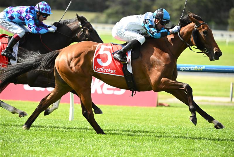 MELBOURNE, AUSTRALIA - SEPTEMBER 05: Daniel Stackhouse riding Ocean Bay winning race 2, the Ladbrokes Popular Srm Handicap during Melbourne Racing at Sandown Racecourse on September 05, 2026 in Melbourne, Australia. (Photo by Vince Caligiuri/Getty Images)