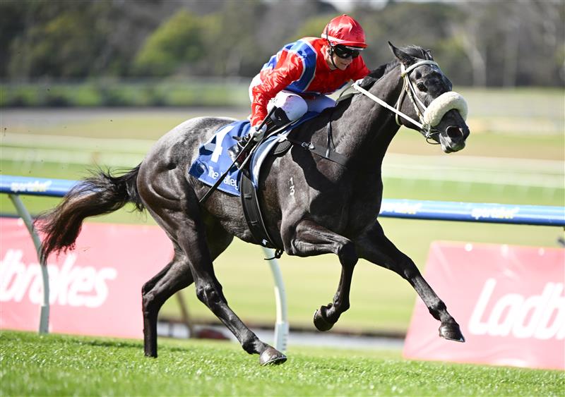 MELBOURNE, AUSTRALIA - SEPTEMBER 05: Jamie Melham riding Pretty Baby winning race 5, the Msc Signs Atlantic Jewel Stakes during Melbourne Racing at Sandown Racecourse on September 05, 2026 in Melbourne, Australia. (Photo by Vince Caligiuri/Getty Images)