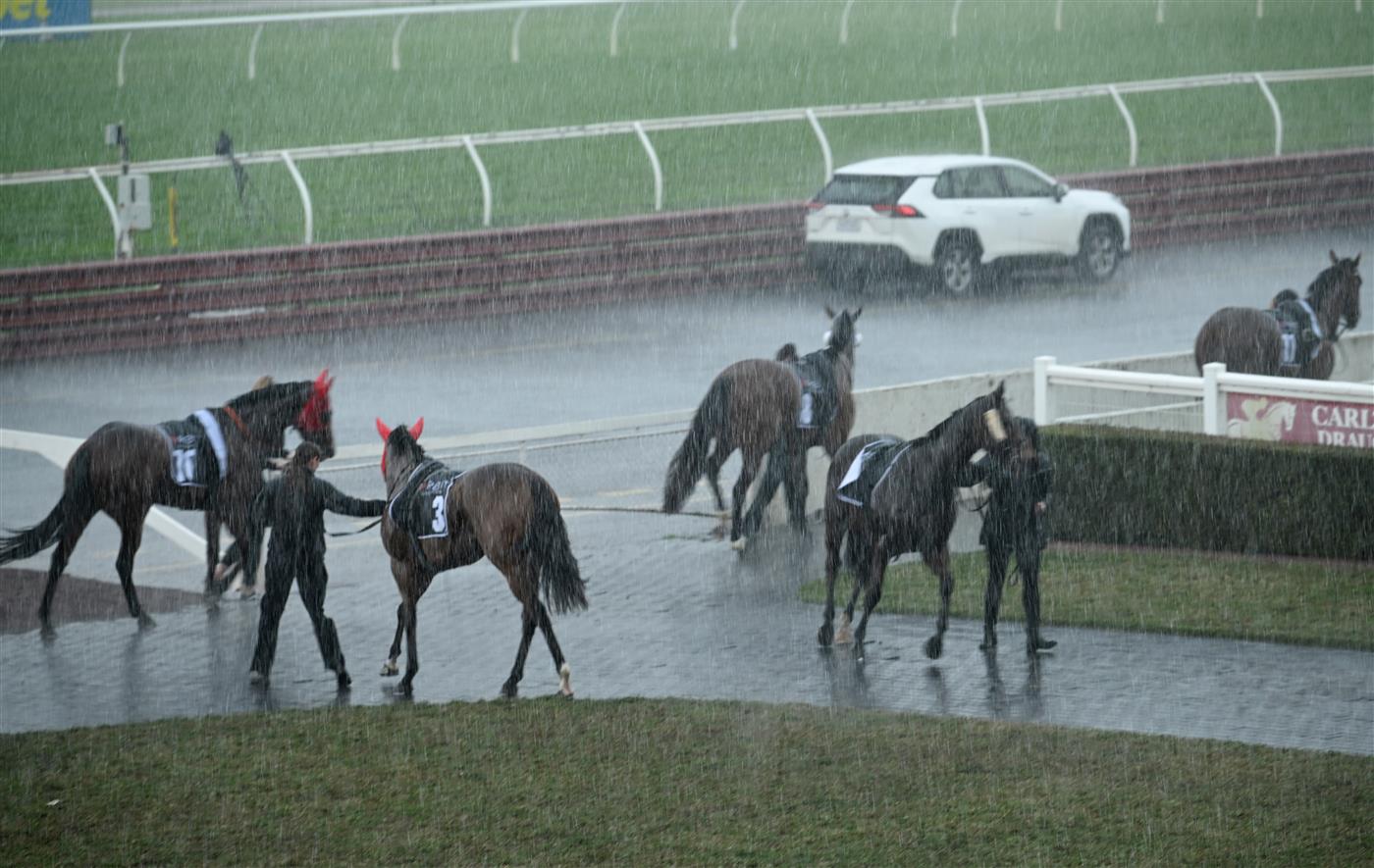 MELBOURNE, AUSTRALIA - SEPTEMBER 05: Horses return to the mounting yard as races are delayed due to storms and lightning before race 9, the Orbit Logistics Chautauqua Stakes during Melbourne Racing at Sandown Racecourse on September 05, 2026 in Melbourne, Australia. (Photo by Vince Caligiuri/Getty Images)