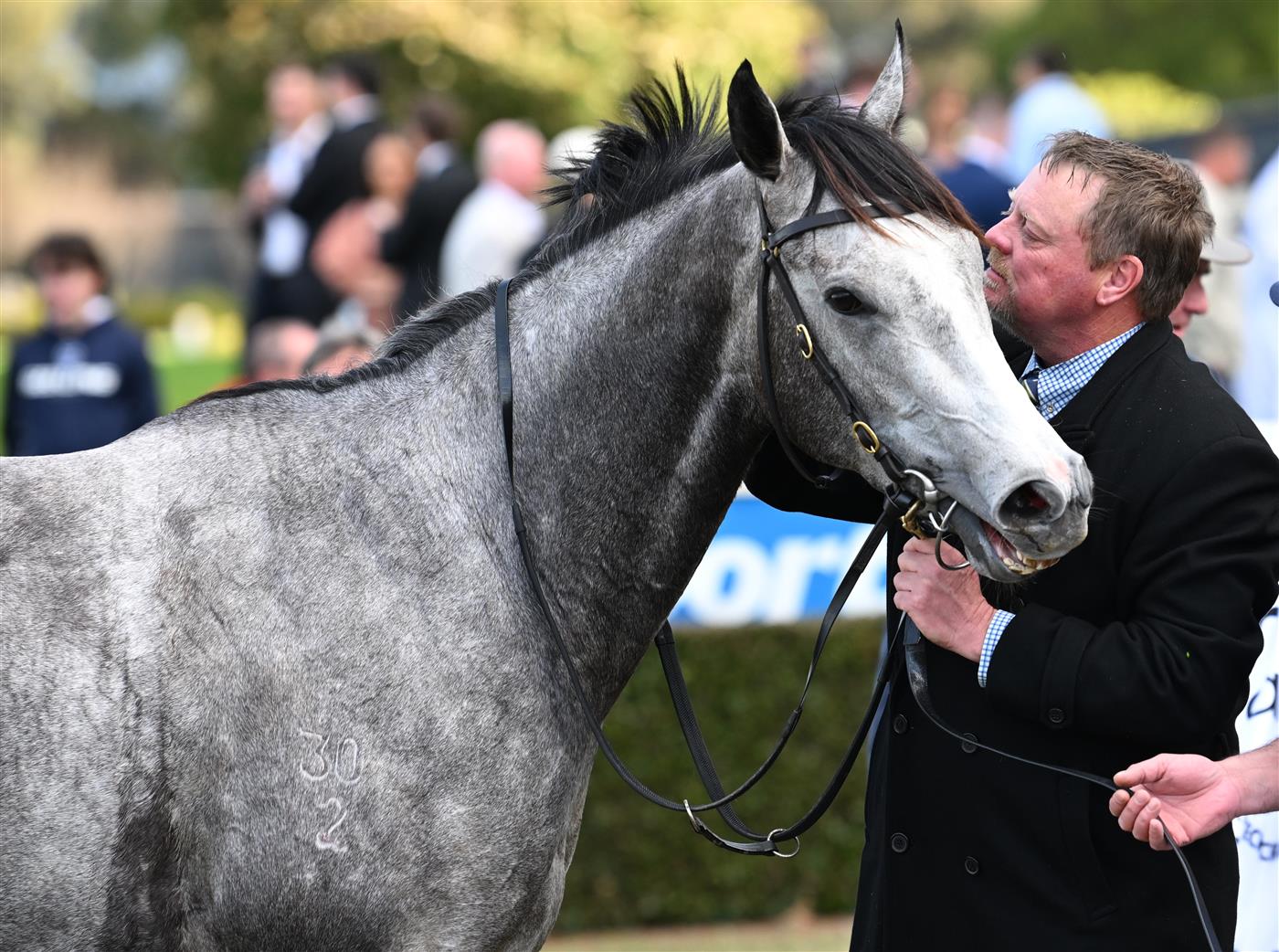 MELBOURNE, AUSTRALIA - SEPTEMBER 05: Trainer John McArdle poses with My Gladiola after winning race 8, the Charter Keck Cramer Moir Stakes during Melbourne Racing at Sandown Racecourse on September 05, 2026 in Melbourne, Australia. (Photo by Vince Caligiuri/Getty Images)