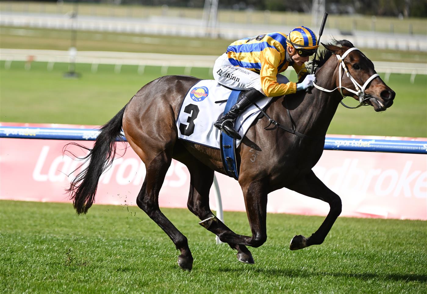 MELBOURNE, AUSTRALIA - SEPTEMBER 05: Blake Shinn riding Blind Raise winning race 6, the McMahon's Dairy McKenzie Stakes during Melbourne Racing at Sandown Racecourse on September 05, 2026 in Melbourne, Australia. (Getty)