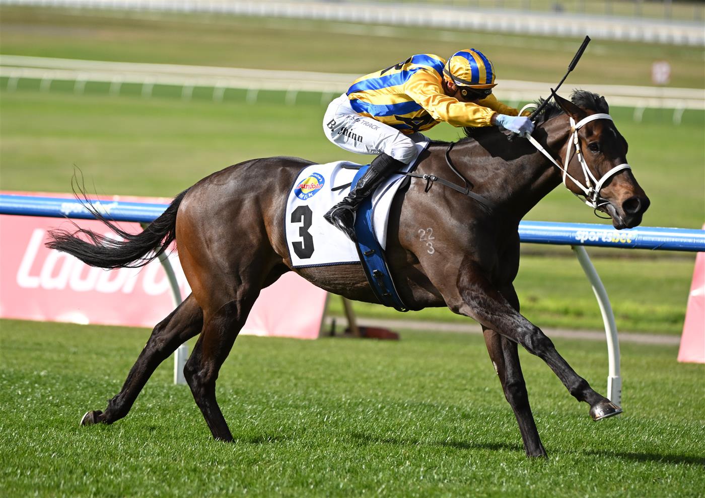 MELBOURNE, AUSTRALIA - SEPTEMBER 05: Blake Shinn riding Blind Raise winning race 6, the McMahon's Dairy McKenzie Stakes during Melbourne Racing at Sandown Racecourse on September 05, 2026 in Melbourne, Australia. (Getty)