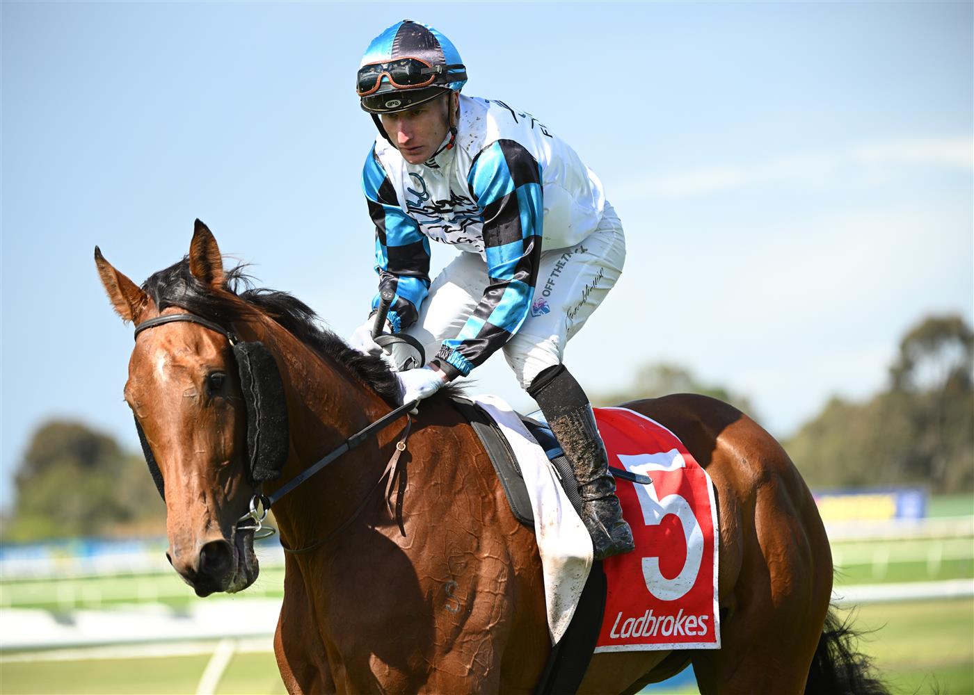 MELBOURNE, AUSTRALIA - SEPTEMBER 05: Daniel Stackhouse riding Ocean Bay after winning race 2, the Ladbrokes Popular Srm Handicap during Melbourne Racing at Sandown Racecourse on September 05, 2026 in Melbourne, Australia. (Photo by Vince Caligiuri/Getty Images)