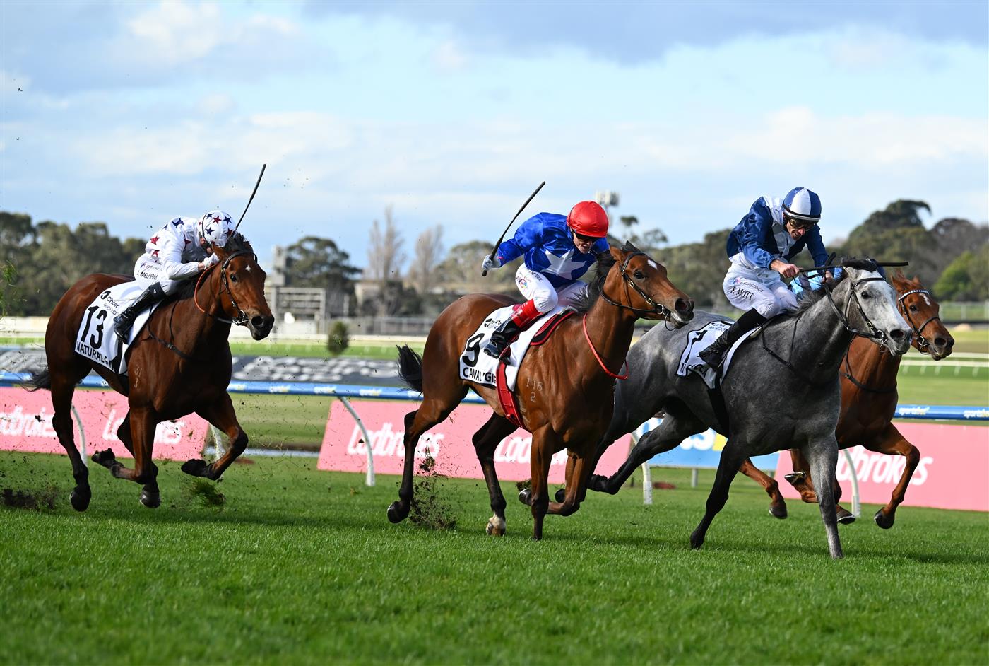 MELBOURNE, AUSTRALIA - SEPTEMBER 05: Jamie Mott riding My Gladiola (ctr) winning from Craig Williams riding Cavalry Girl, Jamie Melham riding Natural Fling (L) and Ethan Brown riding Extragalactic (r) in and race 8, the Charter Keck Cramer Moir Stakes during Melbourne Racing at Sandown Racecourse on September 05, 2026 in Melbourne, Australia. (Photo by Vince Caligiuri/Getty Images)