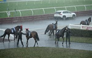 MELBOURNE, AUSTRALIA - SEPTEMBER 05: Horses return to the mounting yard as races are delayed due to storms and lightning before race 9, the Orbit Logistics Chautauqua Stakes during Melbourne Racing at Sandown Racecourse on September 05, 2026 in Melbourne, Australia. (Photo by Vince Caligiuri/Getty Images)