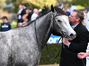 MELBOURNE, AUSTRALIA - SEPTEMBER 05: Trainer John McArdle poses with My Gladiola after winning race 8, the Charter Keck Cramer Moir Stakes during Melbourne Racing at Sandown Racecourse on September 05, 2026 in Melbourne, Australia. (Photo by Vince Caligiuri/Getty Images)