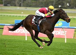 MELBOURNE, AUSTRALIA - SEPTEMBER 05: Blake Shinn riding Evaporate winning race 7, the Ranvet So You Think Stakes during Melbourne Racing at Sandown Racecourse on September 05, 2026 in Melbourne, Australia. (Photo by Vince Caligiuri/Getty Images)