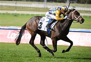 MELBOURNE, AUSTRALIA - SEPTEMBER 05: Blake Shinn riding Blind Raise winning race 6, the McMahon's Dairy McKenzie Stakes during Melbourne Racing at Sandown Racecourse on September 05, 2026 in Melbourne, Australia. (Getty)