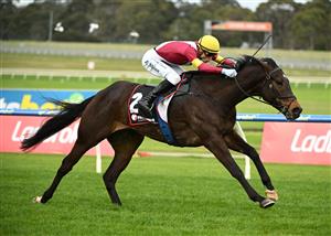 MELBOURNE, AUSTRALIA - SEPTEMBER 05: Blake Shinn riding Evaporate winning race 7, the Ranvet So You Think Stakes during Melbourne Racing at Sandown Racecourse on September 05, 2026 in Melbourne, Australia. (Photo by Vince Caligiuri/Getty Images)