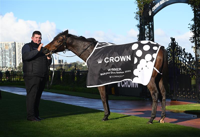 MELBOURNE, AUSTRALIA - SEPTEMBER 14: Mr Brightside poses with strapper Will Evans after winning Race 8, the Crown Makybe Diva Stakes - Betting Odds, during Melbourne Racing at Flemington Racecourse on September 14, 2024 in Melbourne, Australia. (Photo by Vince Caligiuri/Getty Images)